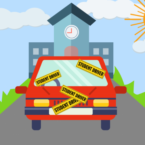Driver's Education Classes 